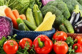 中国有机农业深度钻研及行业发展趋向