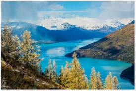 新疆喀纳斯市场征询及定位项目