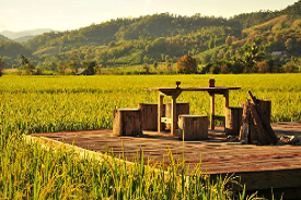 休闲农业和村落游览建设项目可行性钻研汇报