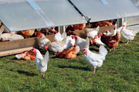 现代化规；臣巴涝准庸は钅靠尚行宰暄谢惚