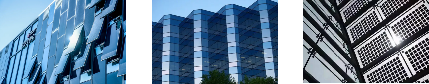 rb88随行版-rb88手机随行版登录入口