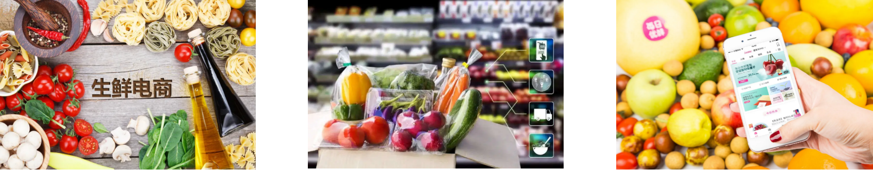 rb88随行版-rb88手机随行版登录入口