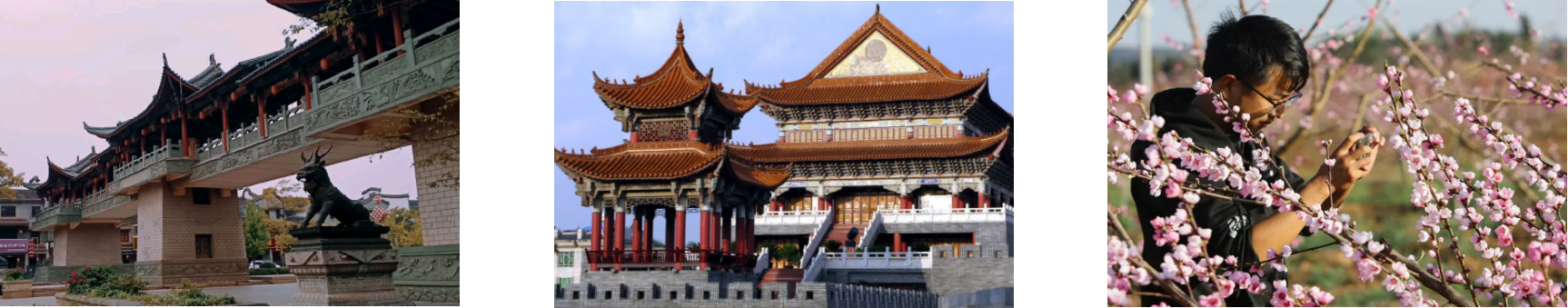 rb88随行版-rb88手机随行版登录入口