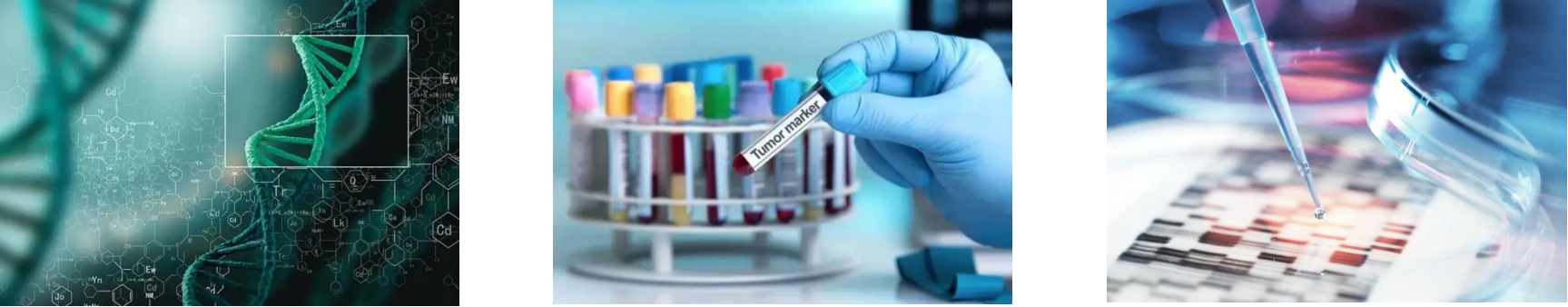 rb88随行版-rb88手机随行版登录入口