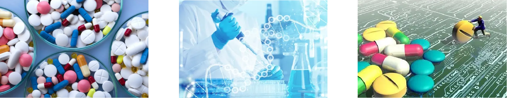 rb88随行版-rb88手机随行版登录入口