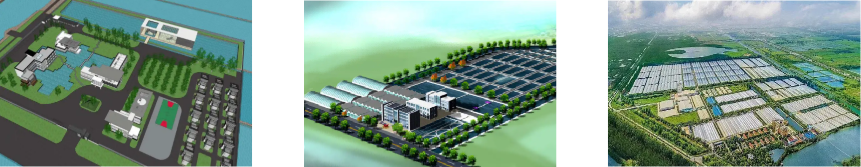 rb88随行版-rb88手机随行版登录入口