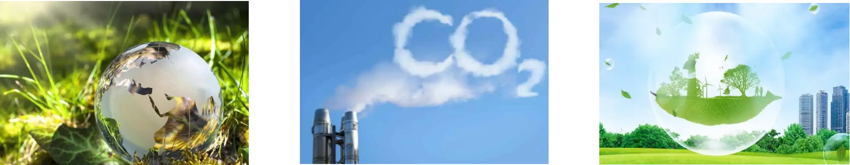 rb88随行版-rb88手机随行版登录入口