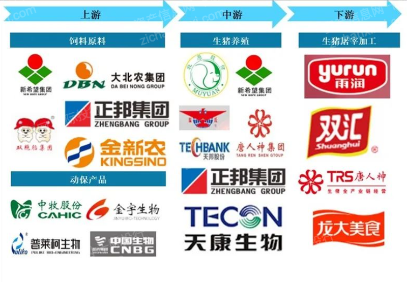 rb88随行版-rb88手机随行版登录入口