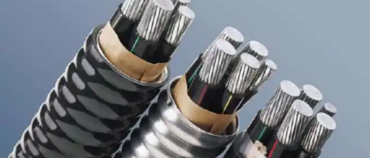 rb88随行版-rb88手机随行版登录入口