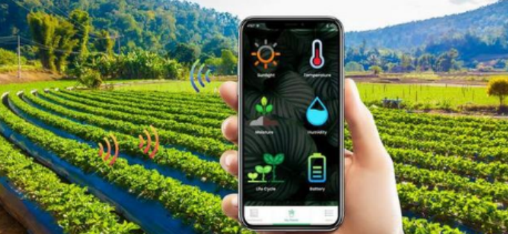 rb88随行版-rb88手机随行版登录入口