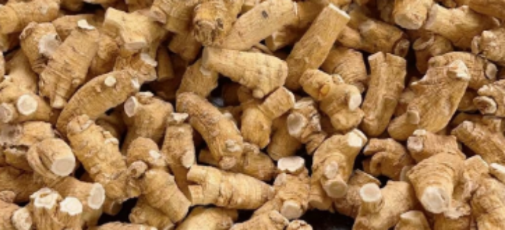 rb88随行版-rb88手机随行版登录入口